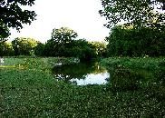 Credit River Mississauga